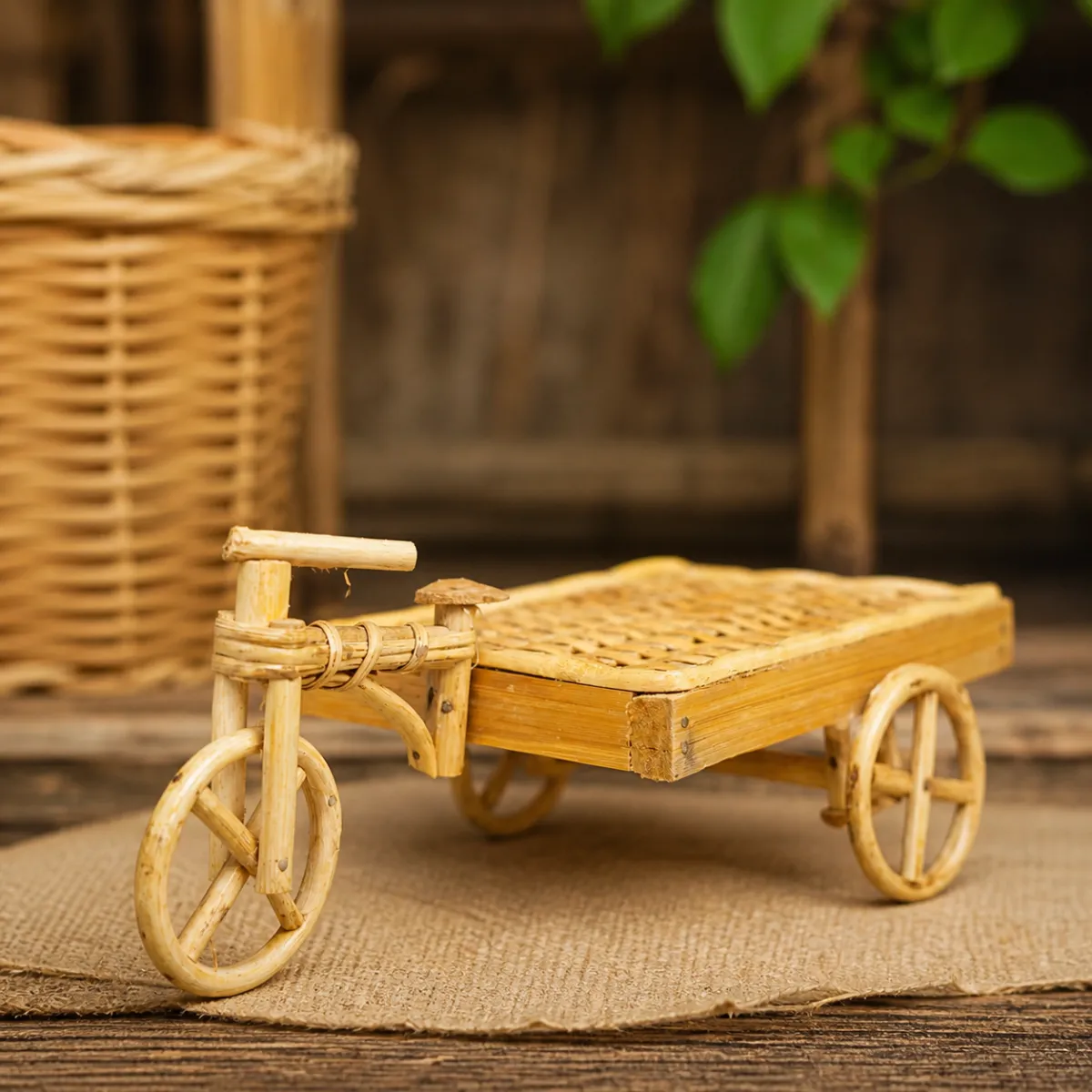 Akrub Luxury Heritage Van Gari
